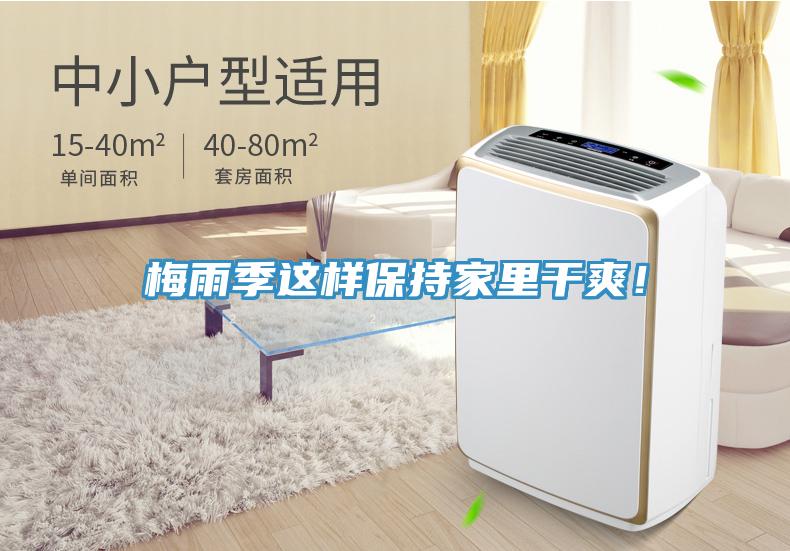 梅雨季這樣保持家里干爽！