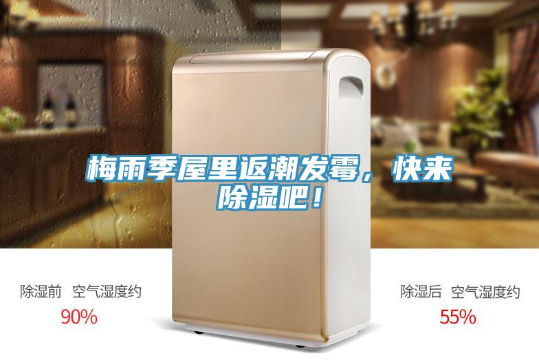 梅雨季屋里返潮發(fā)霉，快來(lái)除濕吧！