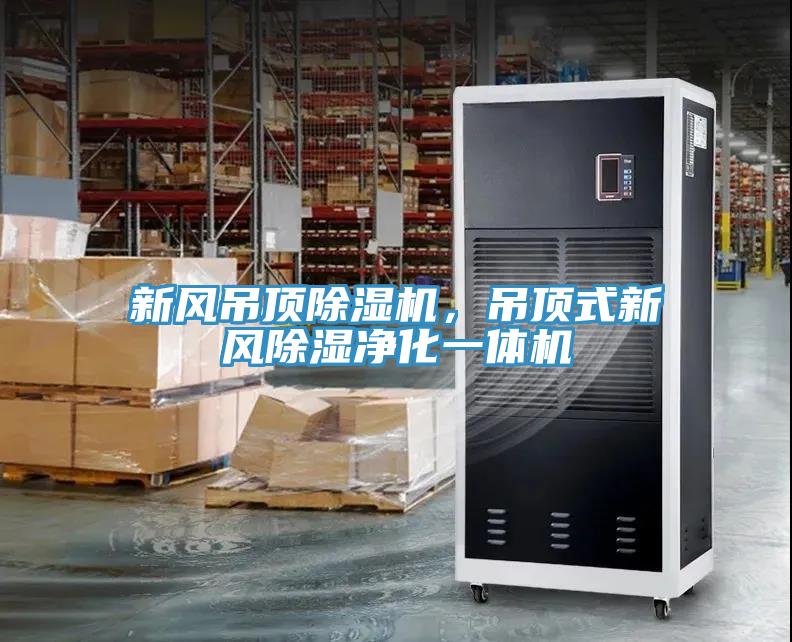 新風(fēng)吊頂除濕機(jī)，吊頂式新風(fēng)除濕凈化一體機(jī)