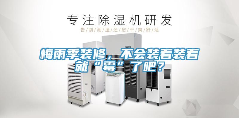 梅雨季裝修，不會裝著裝著就“霉”了吧？