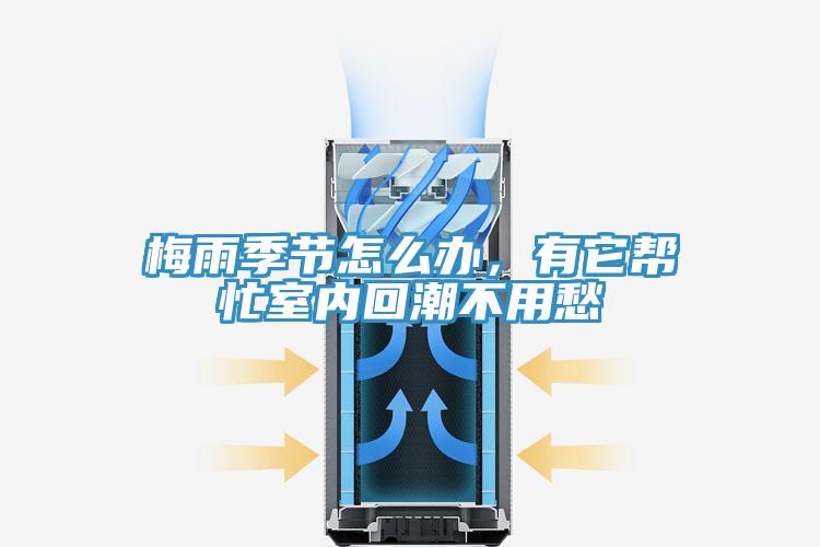 梅雨季節(jié)怎么辦，有它幫忙室內(nèi)回潮不用愁