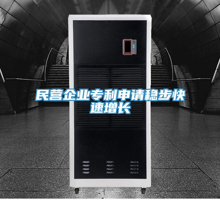 民營(yíng)企業(yè)專(zhuān)利申請(qǐng)穩(wěn)步快速增長(zhǎng)