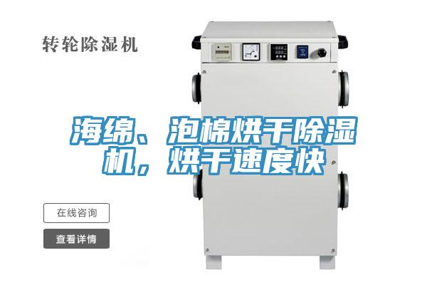 海綿、泡棉烘干除濕機(jī)，烘干速度快