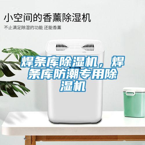 焊條庫除濕機(jī)，焊條庫防潮專用除濕機(jī)