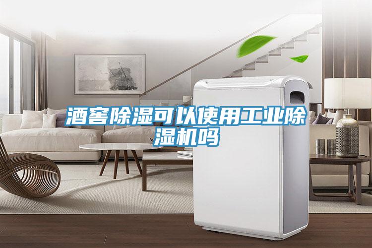 酒窖除濕可以使用工業(yè)除濕機(jī)嗎
