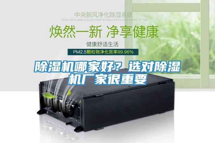 除濕機哪家好？選對除濕機廠家很重要