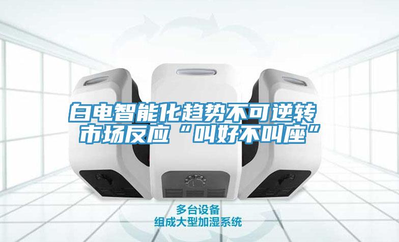 白電智能化趨勢(shì)不可逆轉(zhuǎn) 市場(chǎng)反應(yīng)“叫好不叫座”