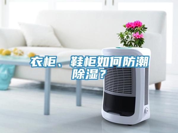 衣柜、鞋柜如何防潮除濕？