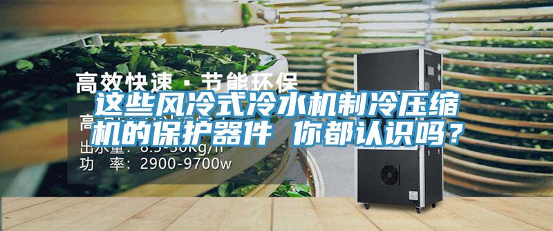 這些風(fēng)冷式冷水機(jī)制冷壓縮機(jī)的保護(hù)器件 你都認(rèn)識(shí)嗎？