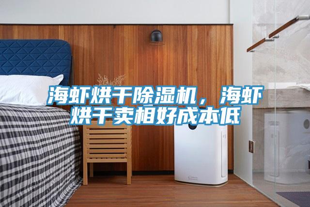 海蝦烘干除濕機(jī)，海蝦烘干賣相好成本低