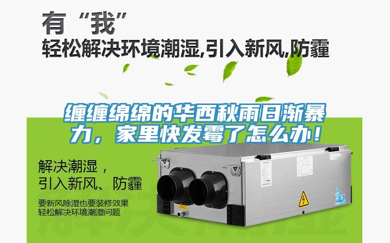 纏纏綿綿的華西秋雨日漸暴力，家里快發(fā)霉了怎么辦！