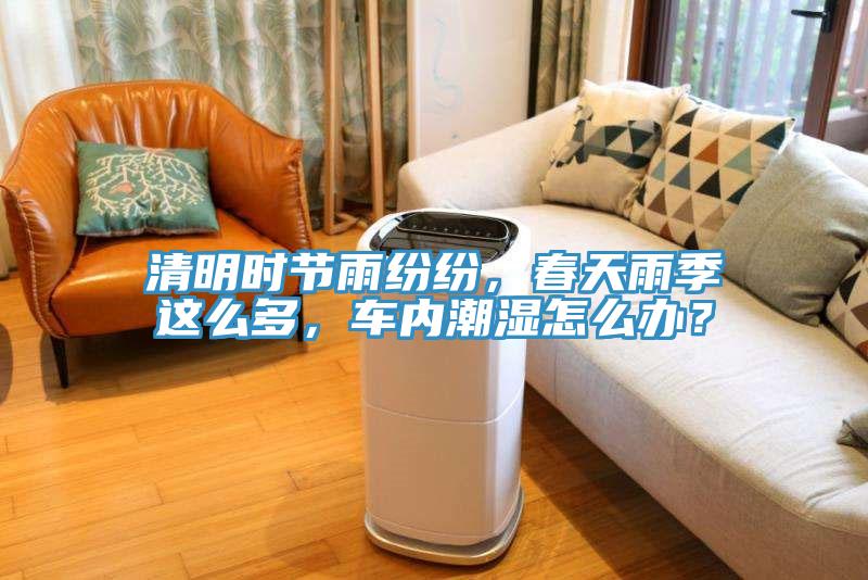 清明時節(jié)雨紛紛，春天雨季這么多，車內(nèi)潮濕怎么辦？