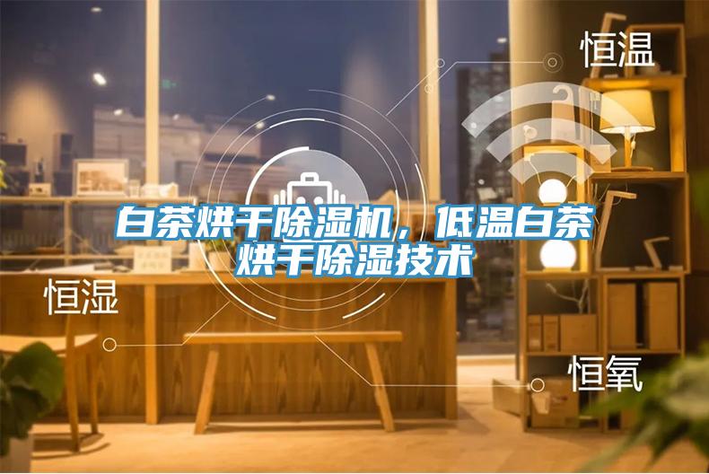 白茶烘干除濕機，低溫白茶烘干除濕技術(shù)