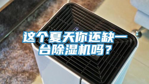 這個(gè)夏天你還缺一臺(tái)除濕機(jī)嗎？
