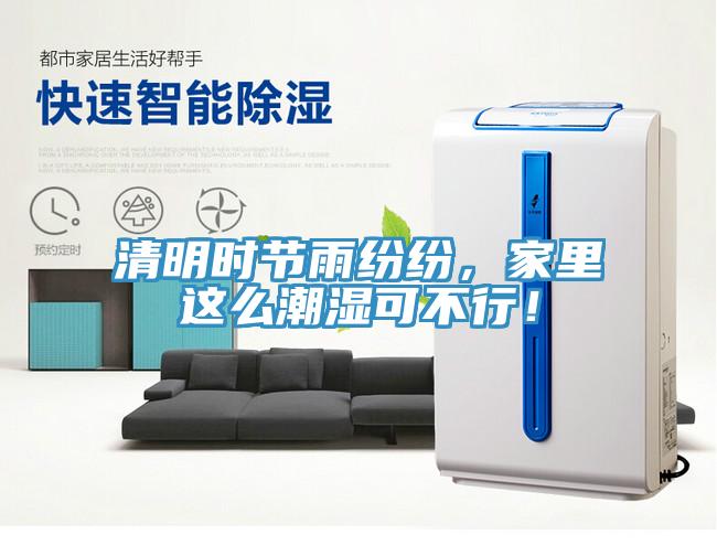 清明時節(jié)雨紛紛，家里這么潮濕可不行！