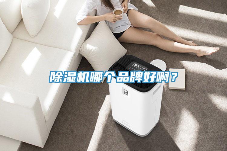除濕機哪個品牌好啊？