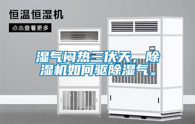濕氣悶熱三伏天，除濕機(jī)如何驅(qū)除濕氣。