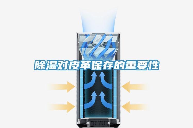 除濕對(duì)皮革保存的重要性