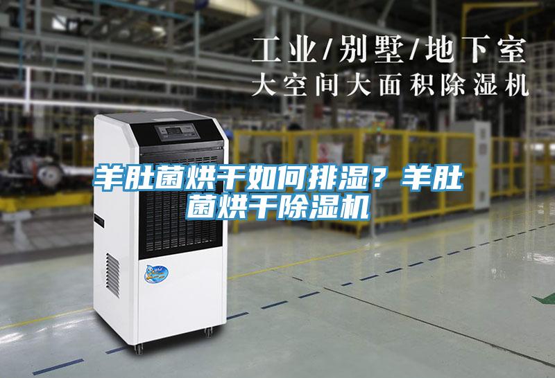 羊肚菌烘干如何排濕？羊肚菌烘干除濕機(jī)