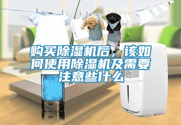 購買除濕機(jī)后，該如何使用除濕機(jī)及需要注意些什么