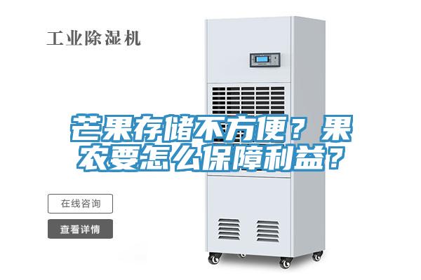 芒果存儲不方便？果農(nóng)要怎么保障利益？