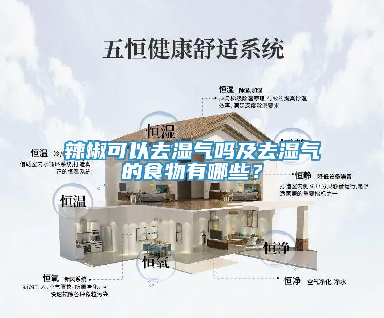 辣椒可以去濕氣嗎及去濕氣的食物有哪些？