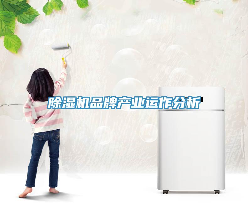 除濕機(jī)品牌產(chǎn)業(yè)運(yùn)作分析