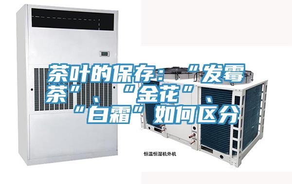 茶葉的保存：“發(fā)霉茶”、“金花”、“白霜”如何區(qū)分