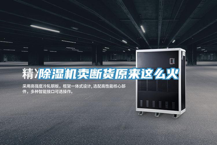 除濕機賣斷貨原來這么火