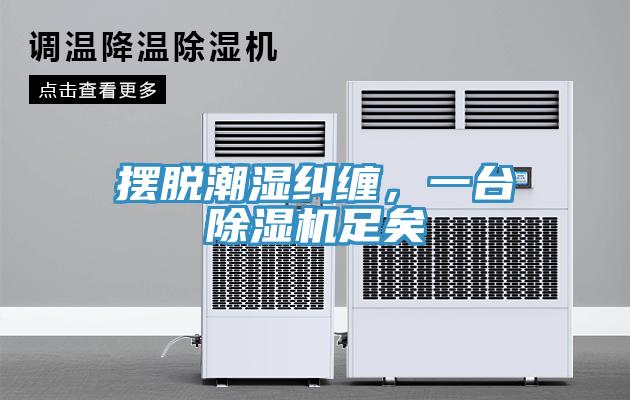擺脫潮濕糾纏，一臺除濕機足矣