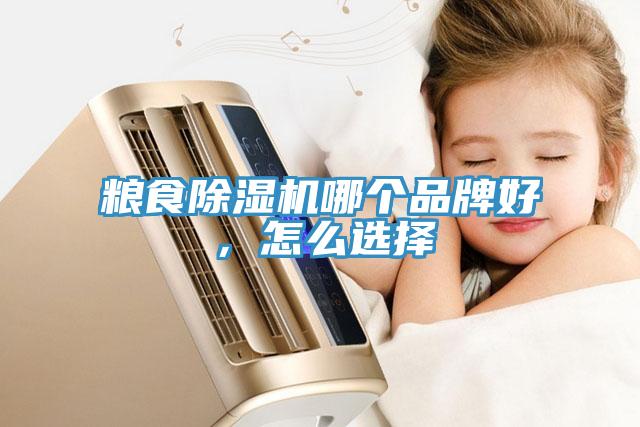 糧食除濕機哪個品牌好，怎么選擇