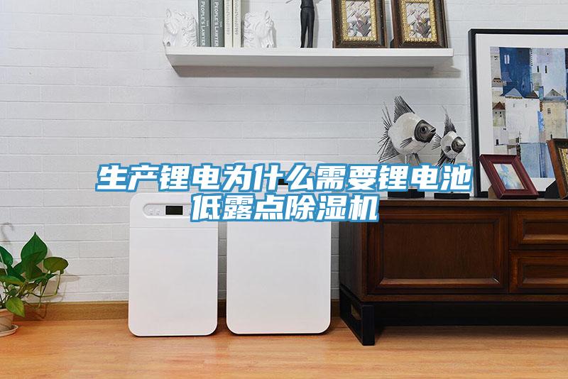 生產鋰電為什么需要鋰電池低露點除濕機