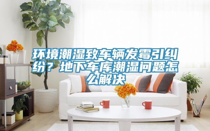 環(huán)境潮濕致車輛發(fā)霉引糾紛？地下車庫潮濕問題怎么解決