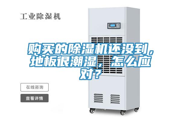 購買的除濕機(jī)還沒到，地板很潮濕，怎么應(yīng)對(duì)？