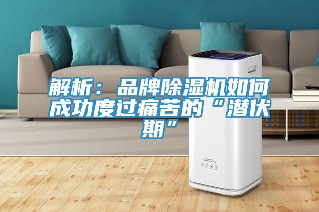 解析：品牌除濕機(jī)如何成功度過痛苦的“潛伏期”