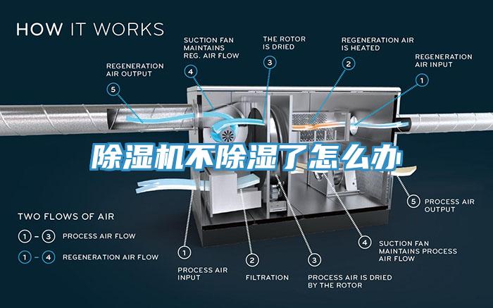 除濕機(jī)不除濕了怎么辦
