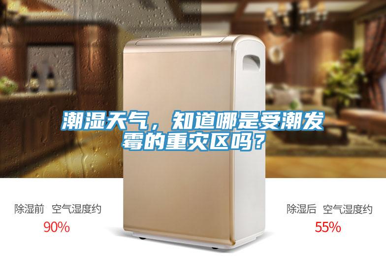 潮濕天氣，知道哪是受潮發(fā)霉的重災(zāi)區(qū)嗎？