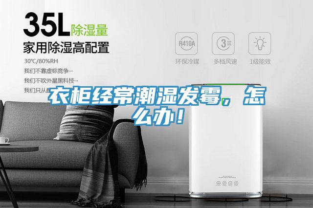 衣柜經(jīng)常潮濕發(fā)霉，怎么辦！