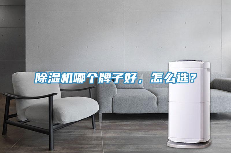 除濕機哪個牌子好，怎么選？