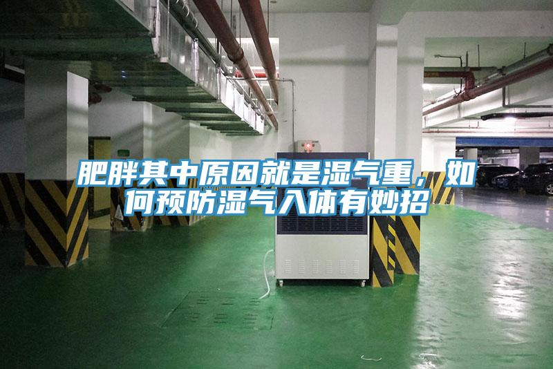 肥胖其中原因就是濕氣重，如何預(yù)防濕氣入體有妙招