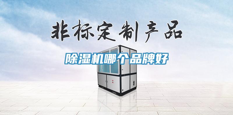 除濕機哪個品牌好