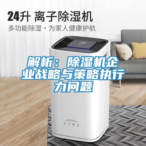 解析：除濕機(jī)企業(yè)戰(zhàn)略與策略執(zhí)行力問題