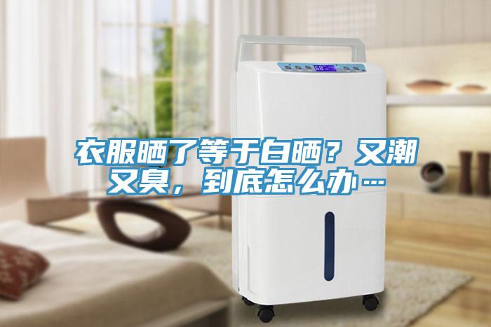 衣服曬了等于白曬？又潮又臭，到底怎么辦…