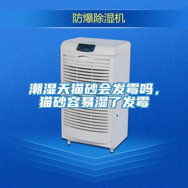潮濕天貓砂會(huì)發(fā)霉嗎，貓砂容易濕了發(fā)霉