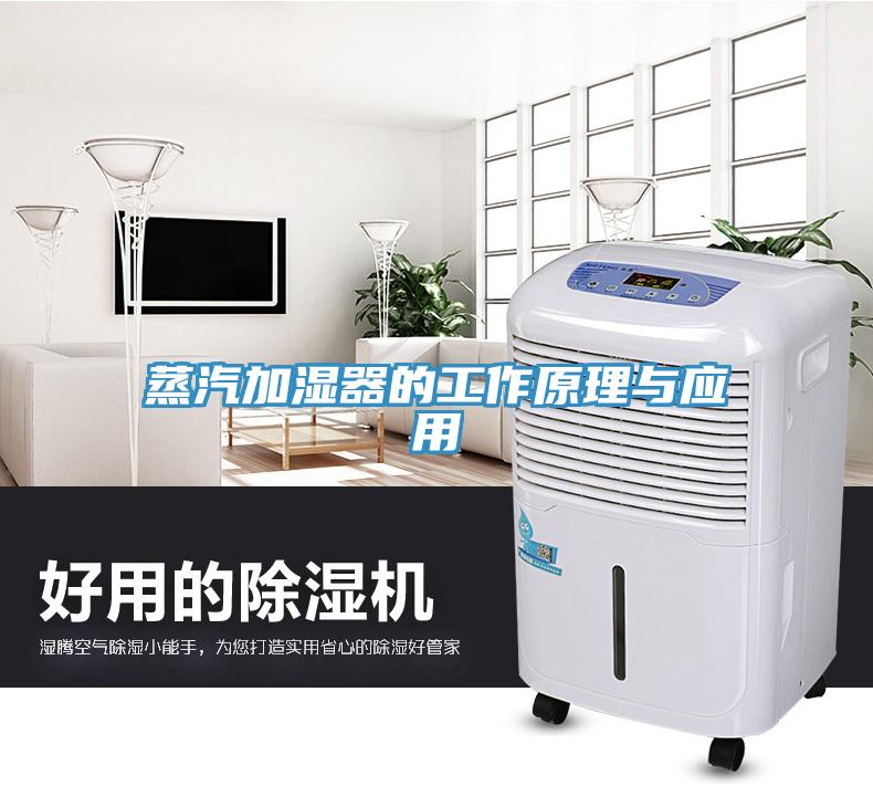 蒸汽加濕器的工作原理與應用