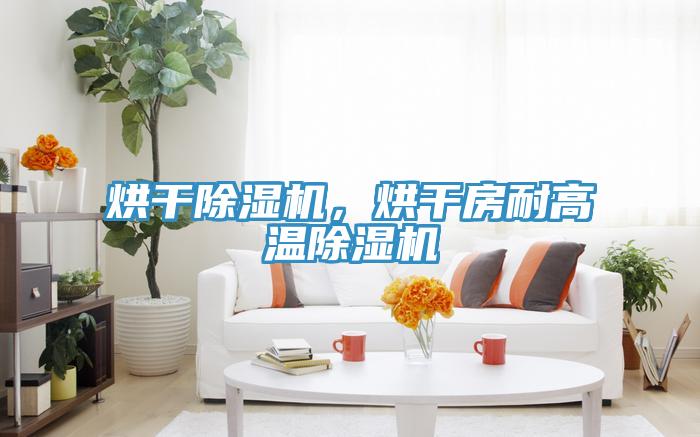 烘干除濕機(jī)，烘干房耐高溫除濕機(jī)