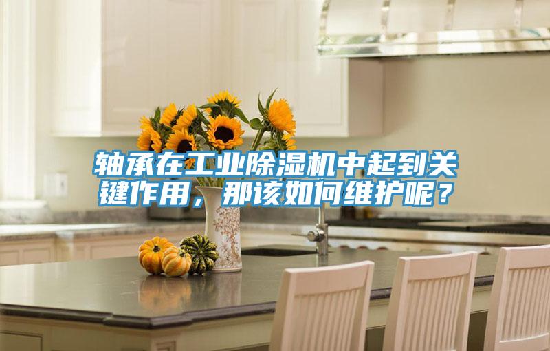 軸承在工業(yè)除濕機(jī)中起到關(guān)鍵作用，那該如何維護(hù)呢？