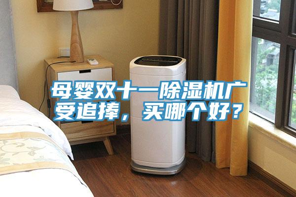 母嬰雙十一除濕機廣受追捧，買哪個好？