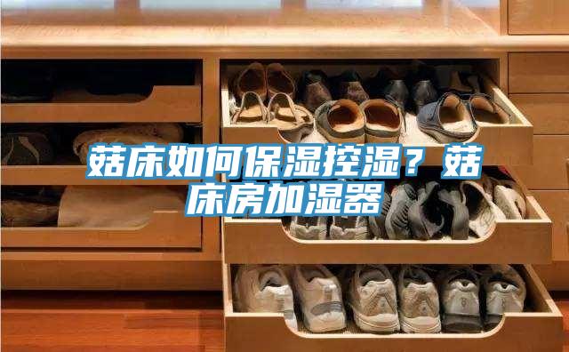 菇床如何保濕控濕？菇床房加濕器