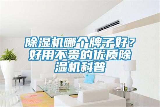 除濕機哪個牌子好？好用不貴的優(yōu)質(zhì)除濕機科普